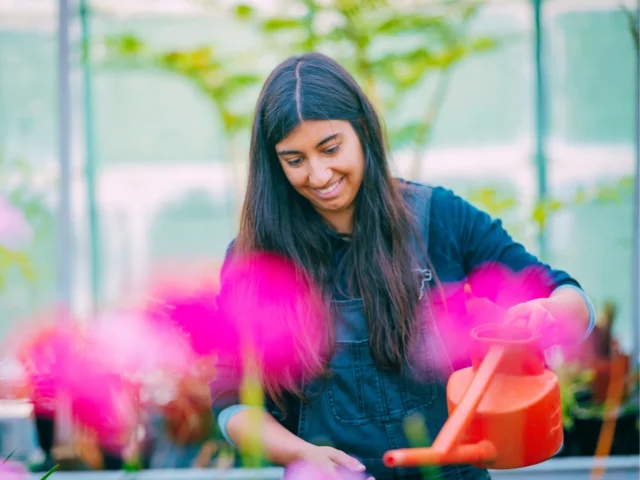 Adult Learning courses