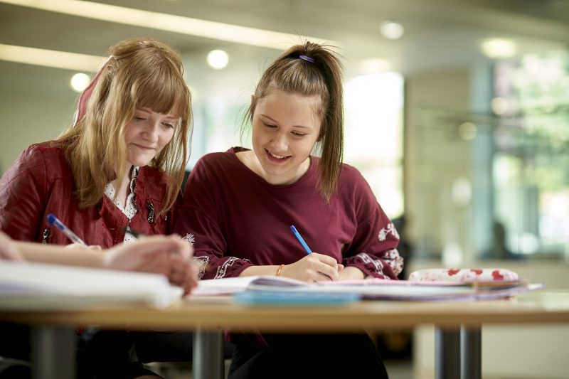 Two students studying
