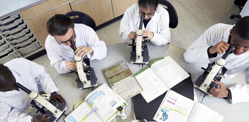 group of applied science students looking through microscopes