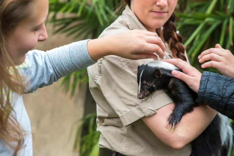 Animal_care_courses