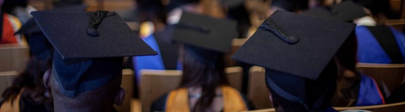 University Level Courses