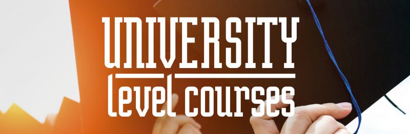 University Level Courses