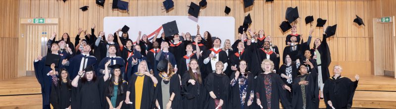 University Level Courses