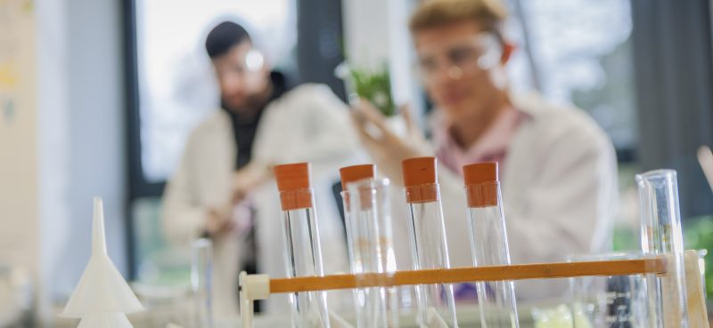 Biology Students looking at test tubes
