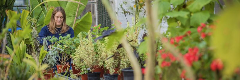 Horticulture student amongst plants